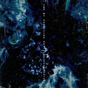 陈美惠的AV在线播放
